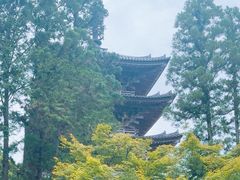 -醍醐寺