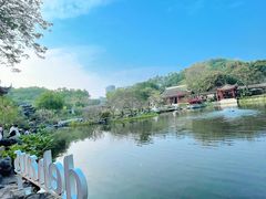 -顺峰山公园