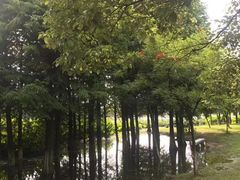 -艾溪湖湿地公园