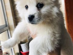 -派特宠物医院(圆融广场店)