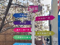 -高东镇樱花园