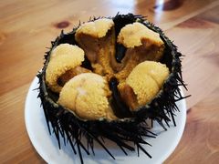 -海胆小馆(东北水饺·春柳店)