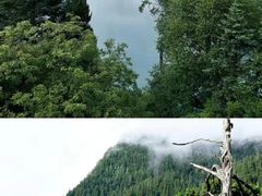 -九寨沟风景区