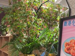 -鹿港小镇(黄金店)