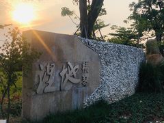 -芒洲湿地公园