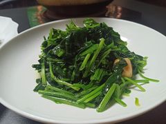 炒豆苗-曾宴·楚菜(湖北省博物馆店)