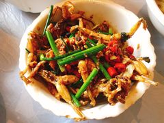 -壹盏灯(惠农店)