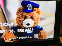 -上海雅居乐万豪侯爵酒店