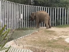 -临沂动植物园