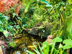 -昆明植物园