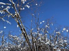 -太子岭滑雪场