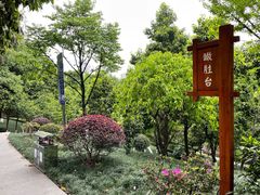 -龙头寺公园