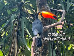 -灵玲国际马戏城