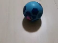 -BingoLand宾果体能中心(上城全民健身中心)