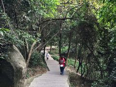 -火炉山森林公园