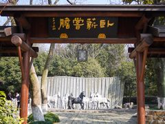 -白马涧龙池景区