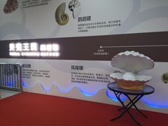 -贝壳王国博物馆