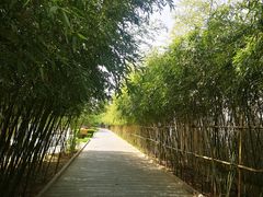 -关林