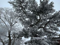 -华山风景名胜区