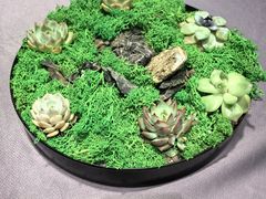 -北京泰富酒店-柏景轩中餐厅