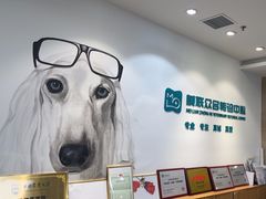 -美联众合动物医院·24h转诊中心
