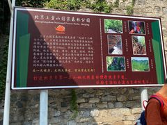 -北京上方山国家森林公园