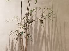 -二酉书店TOYOU BOOKS