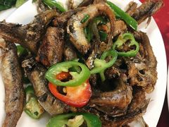 -蛇口康乐快餐鱼仔档(翠苑小区店)