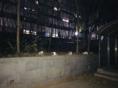 -山东大学(千佛山校区)
