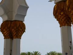 景点-朱美拉清真寺