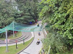 -圣淘沙天际线斜坡滑车