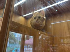 -汤姆宠物(长青北路店)