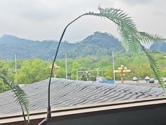 -宴武夷·匠心闽味(印象大红袍店)