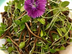 香椿苗拌黑豆皮-红菜坊·烤鸭·川鲁宴(石园店)