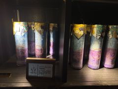 -雪灵魔法世界SHELLY’S TAROT(大良桂畔里店)