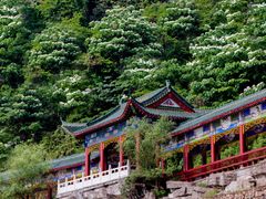 -酒仙湖景区
