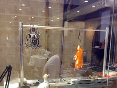 -天和晟新京菜.水煮鱼.湘土菜(国展店)