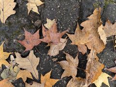 -五女峰国家森林公园