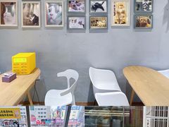 -藏猫猫咖啡主题馆(中央大道店)