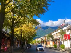-大理.老字号渝记酸萝卜乌鱼(古城总店)