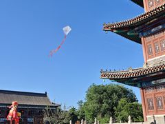 -杨家埠民间艺术大观园