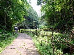 -武夷山风景名胜区-虎啸岩