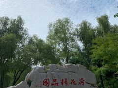 -微山湖红荷湿地景区