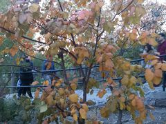 -香山公园-东宫门售票处