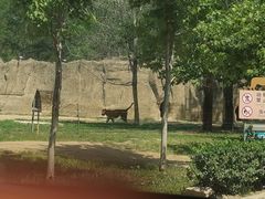 -秦皇岛野生动物园
