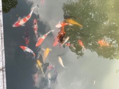 -杭州西湖柳莺里酒店