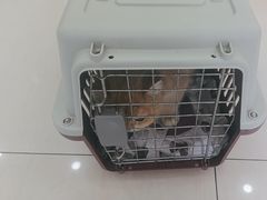 -天宠宠物医院24小时·急重症诊疗中心·全科·腔镜特色(和平分院)