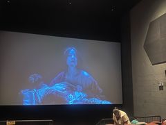 -星河寰宇IMAX影城(星河WORLD·COCO Park店)