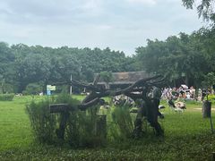 -广州长隆飞鸟乐园
