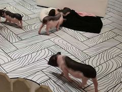 -仲盛世界商城